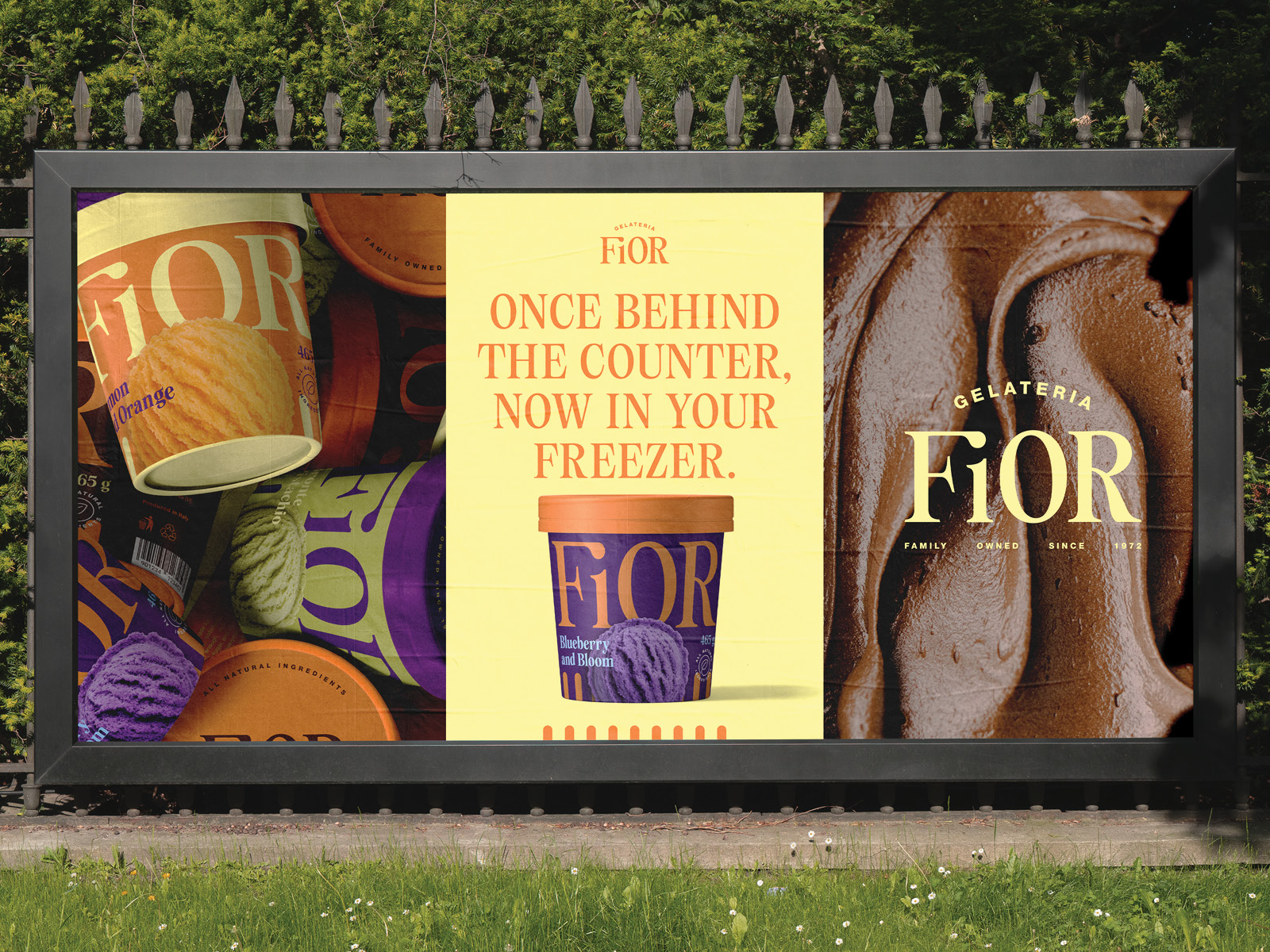 Fior branding and packaging preview